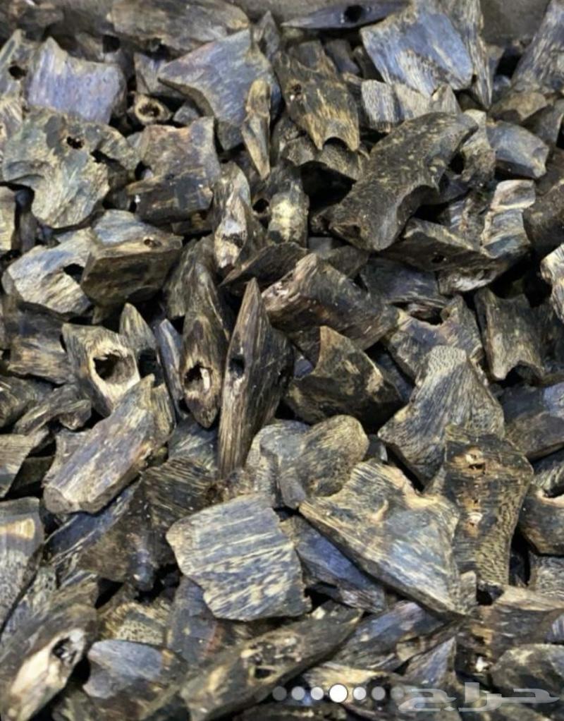 عود طبيعي كينام الدرجه تربل64594985073667111