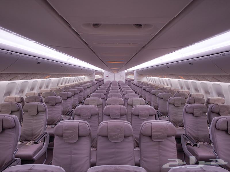 حجز تذاكر داخليه ودوليه باقل الاسعار64594197116163113