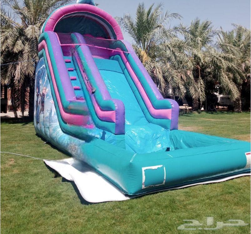 تأجير توم وجيري64574621337346114