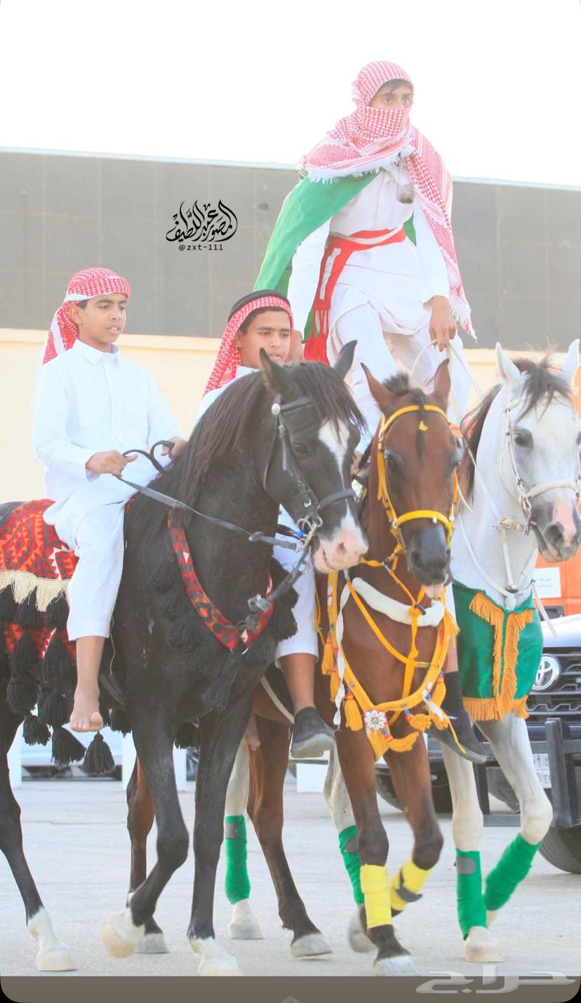 خيل شعبي شيخ64595635659267112