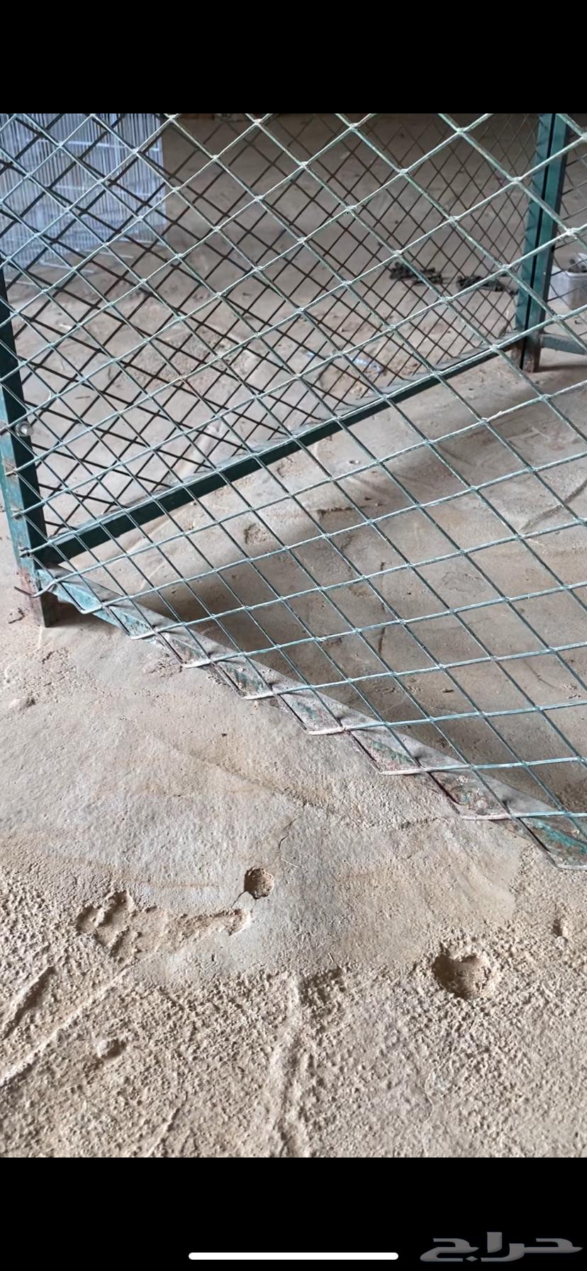 عشش طيور للبيع64595586810753113