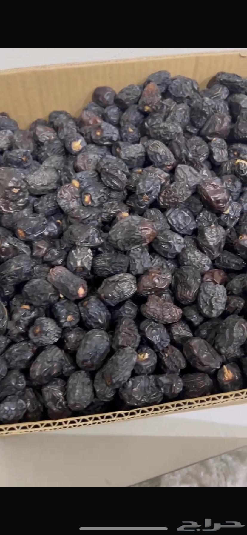 Medina dates for sale64589528853634112