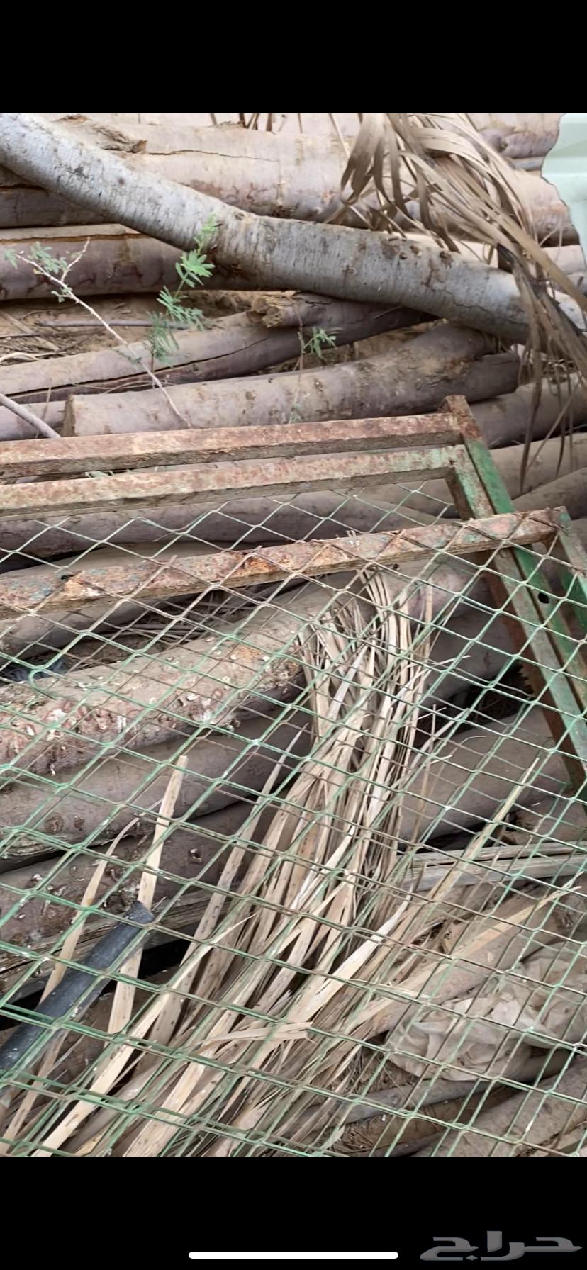 عشش طيور للبيع64595586810753112