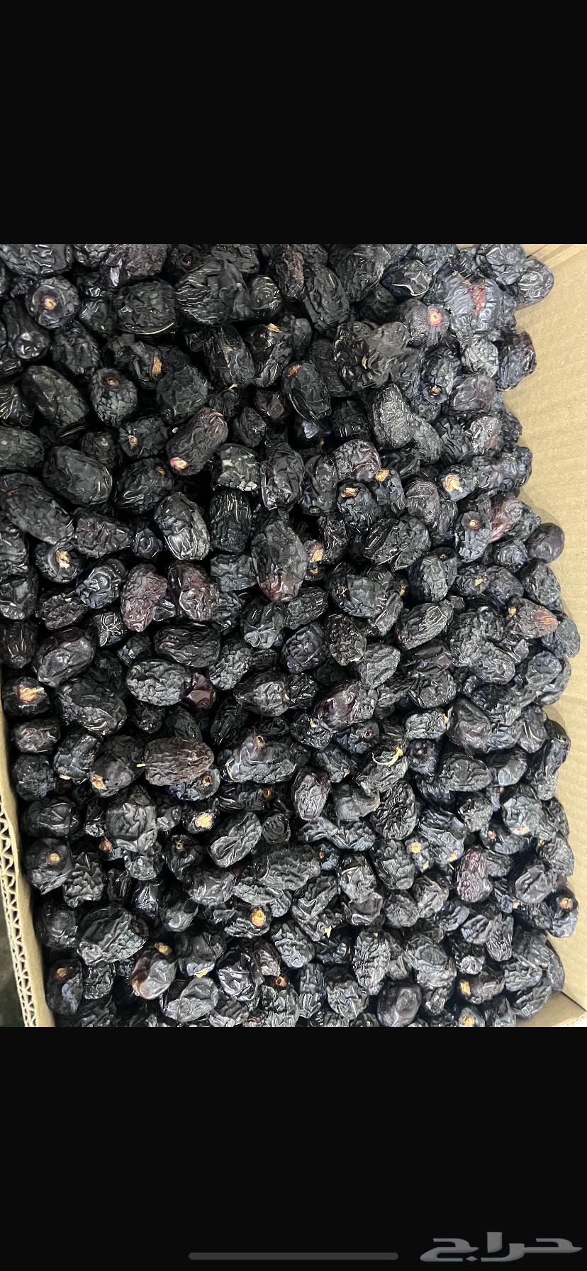 Medina dates for sale64589528853634110