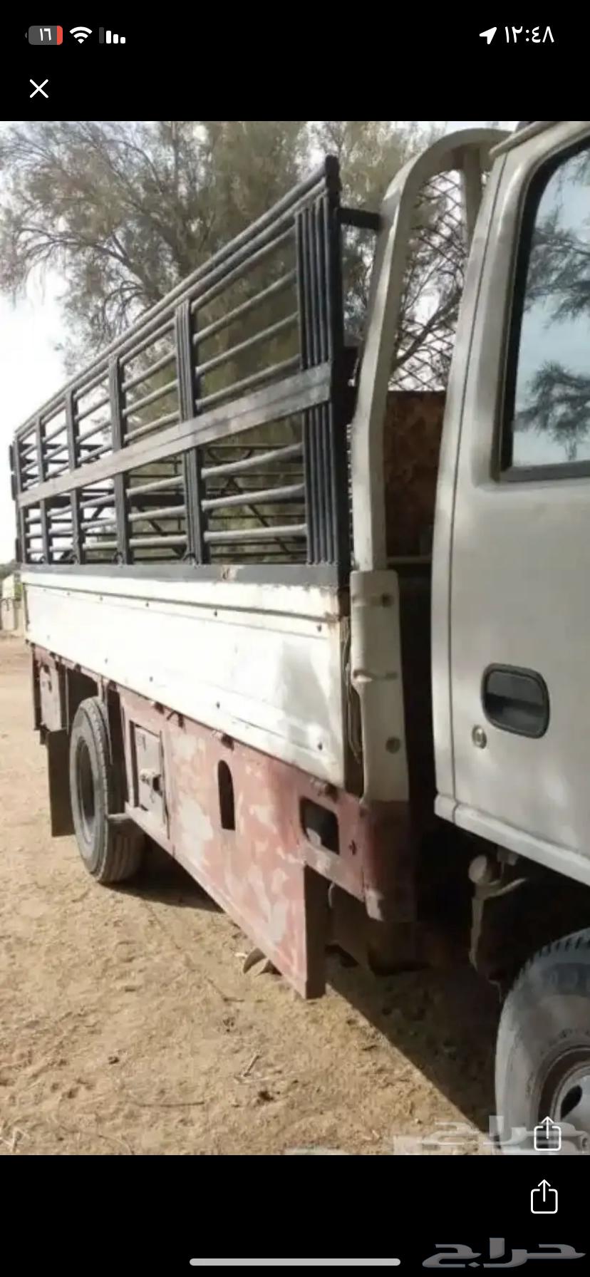 دينا نقل عفش64212036357889110