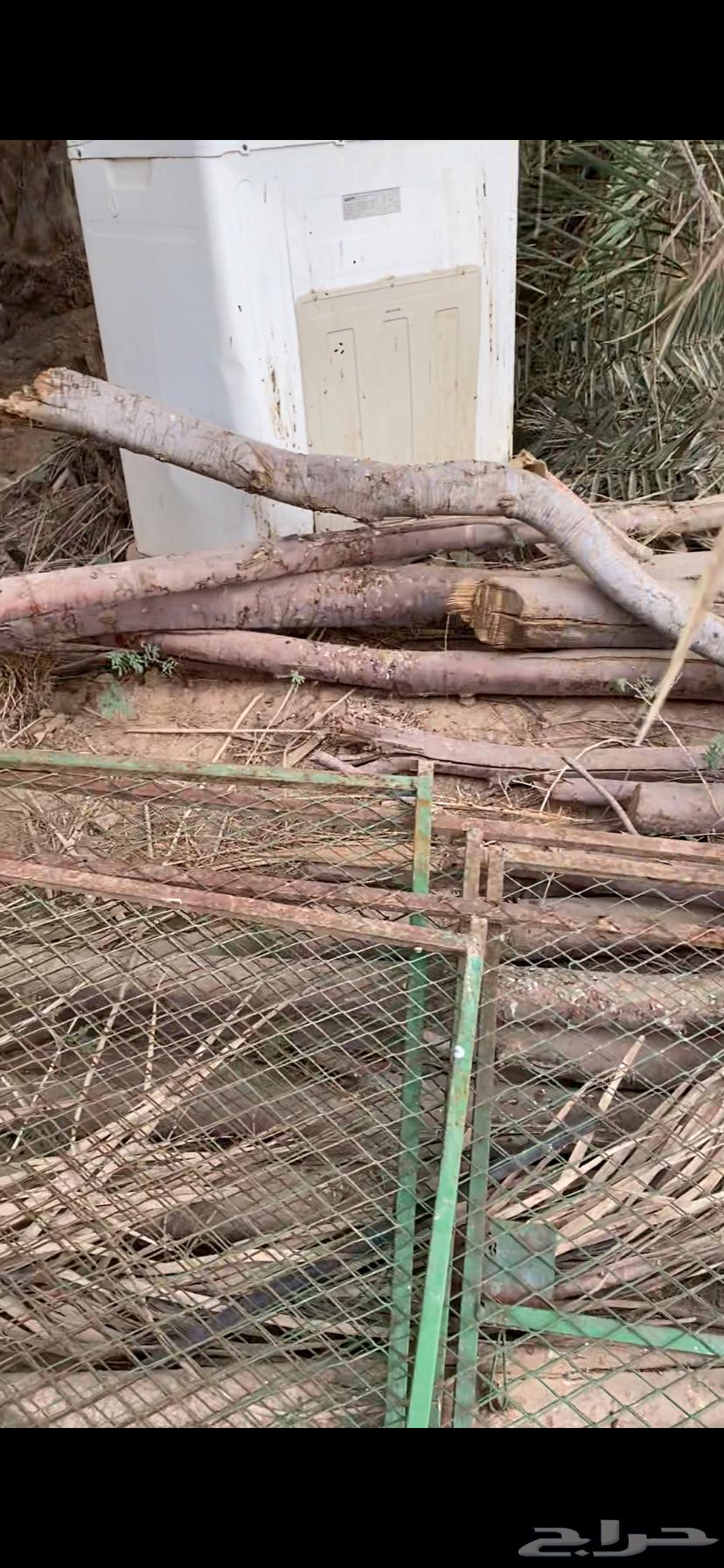 عشش طيور للبيع64595586810753114