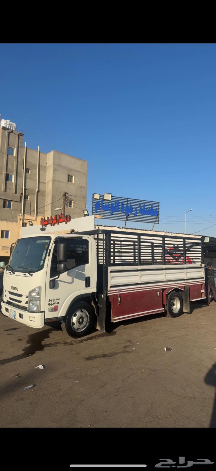 دينه دنه اديانه متواجد في ادمام ومتجه تبوك64365365679233110