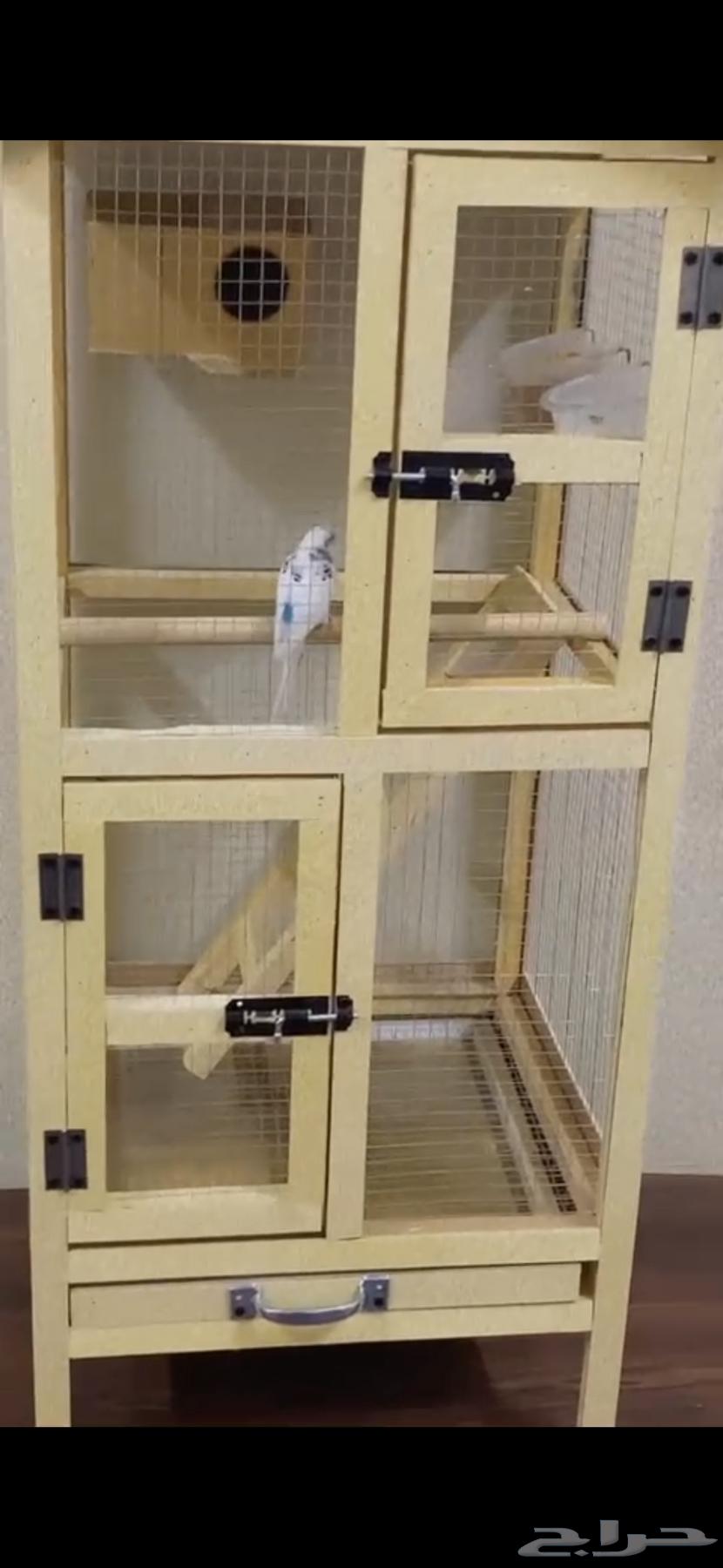 قصف عصفور64589463208961110