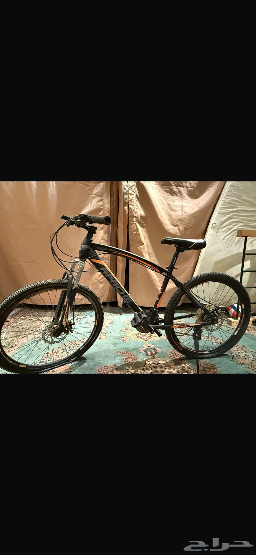 قرطبه الرياض64588818830977111