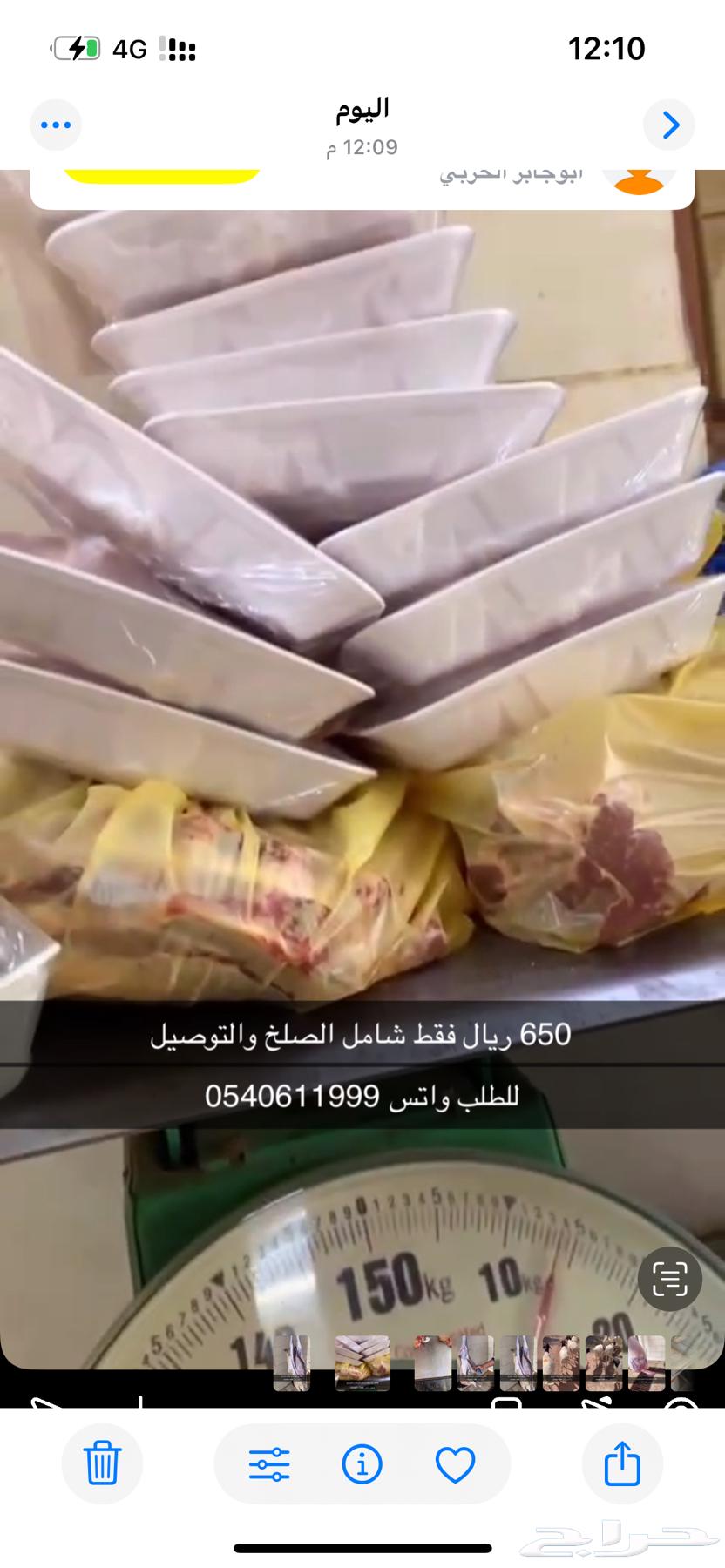 برابر جذعان64591371010689111