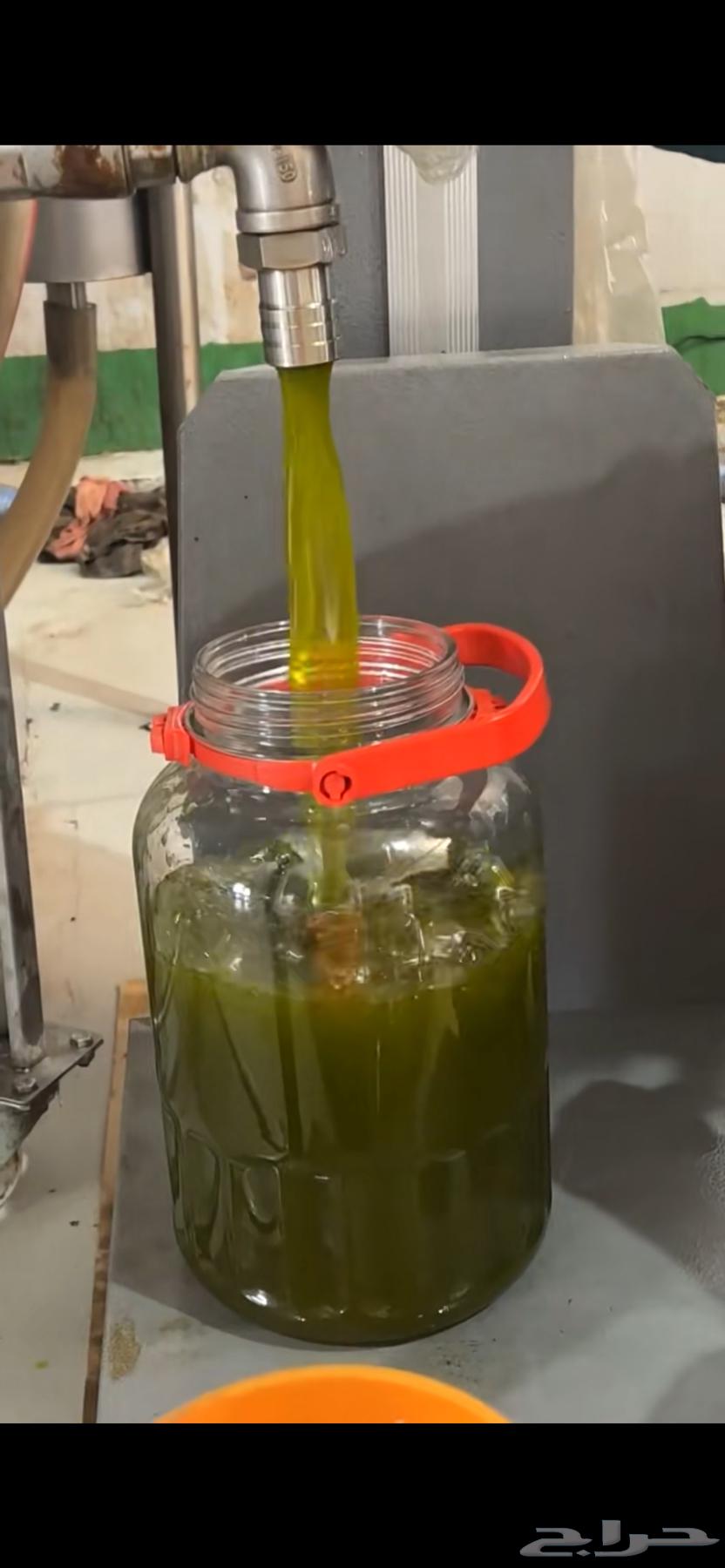 زيت زيتون بكر عصرة اولى على البارد64595858028545110