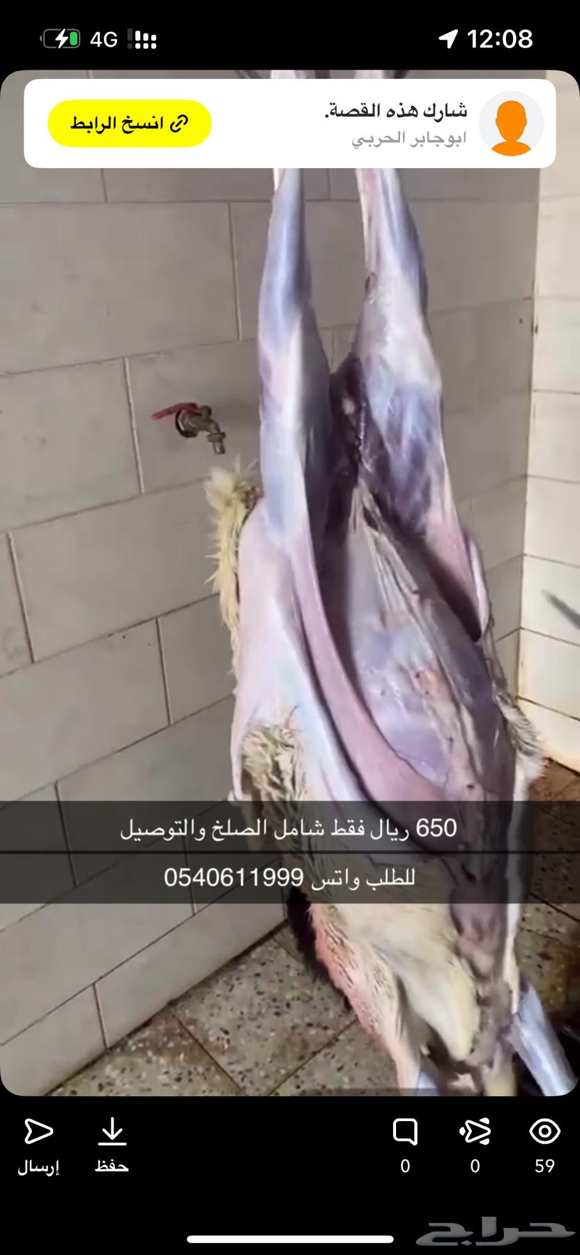 برابر جذعان64591371010689114