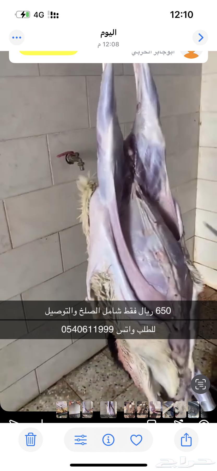 برابر جذعان64591371010689110