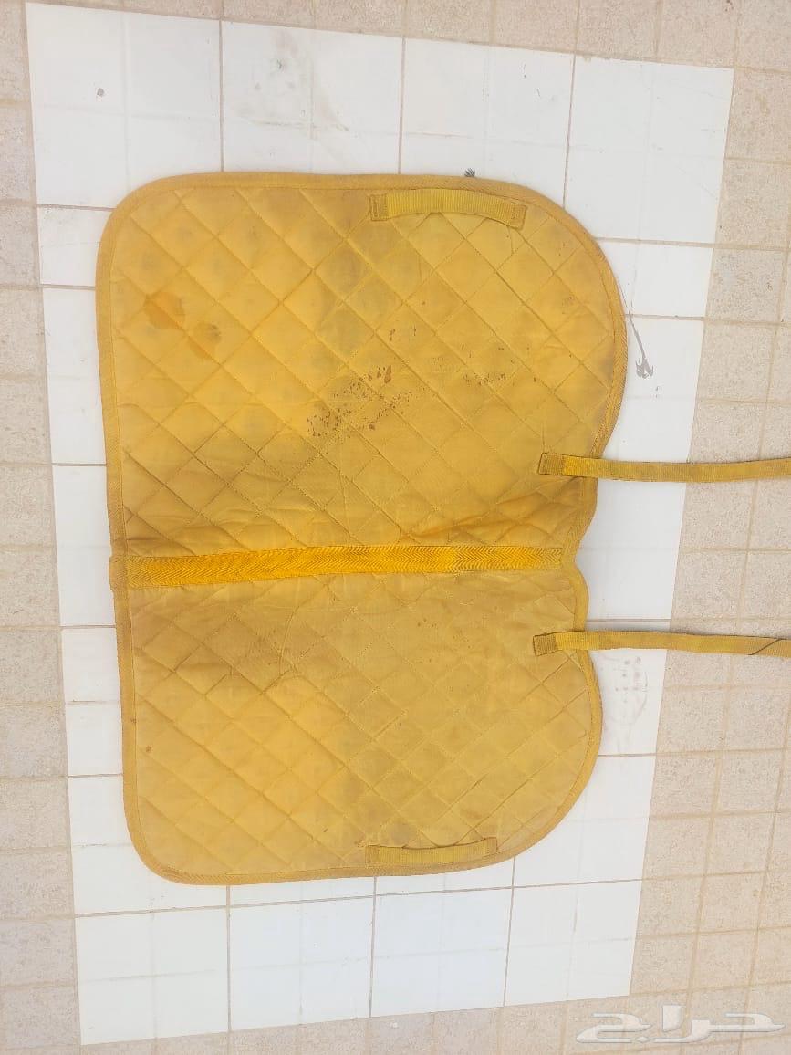 تم البيع64590679952898113