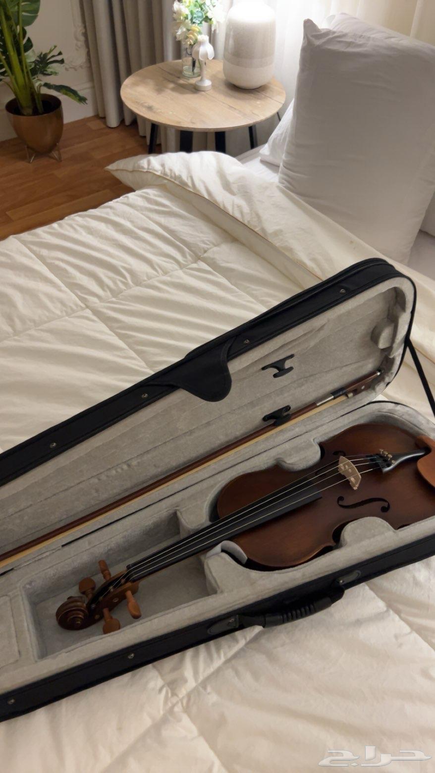 Violin64594764210947110