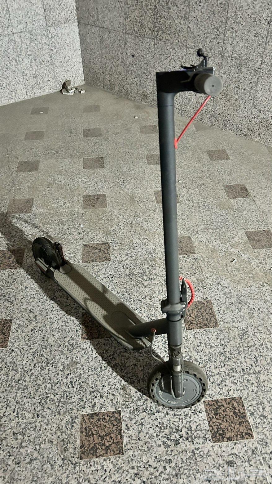 سكوتر وارد نيازي64596278667011111