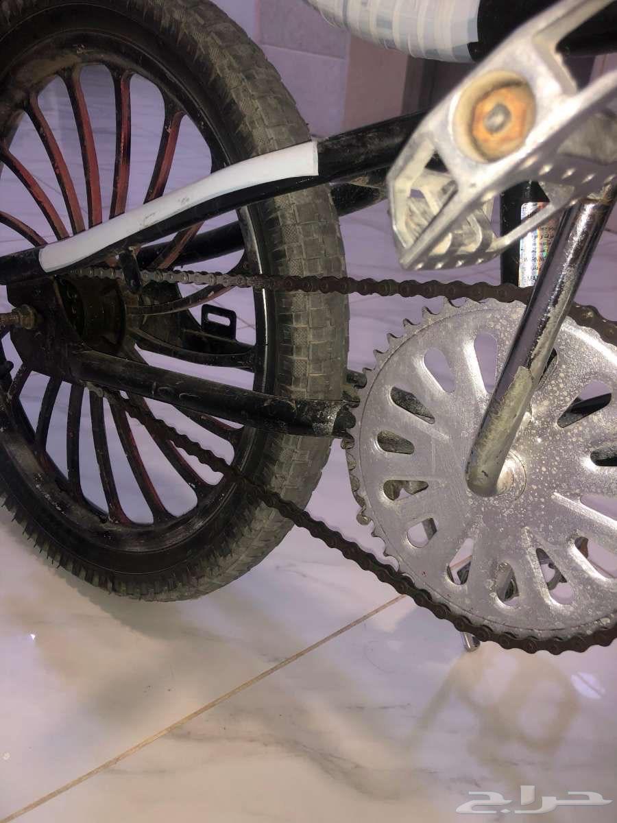 سيكل كوبرا مقاس 2064589179070723110