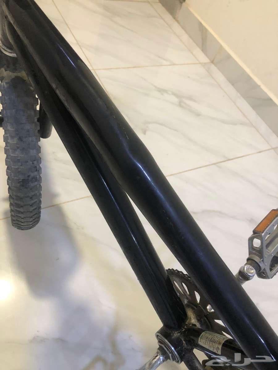 سيكل كوبرا مقاس 2064589179070723113