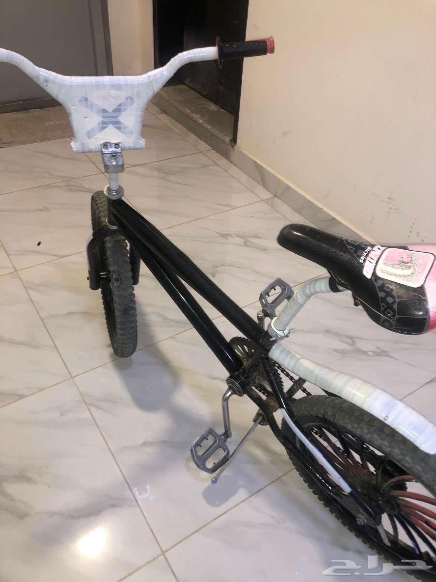 سيكل كوبرا مقاس 2064589179070723112