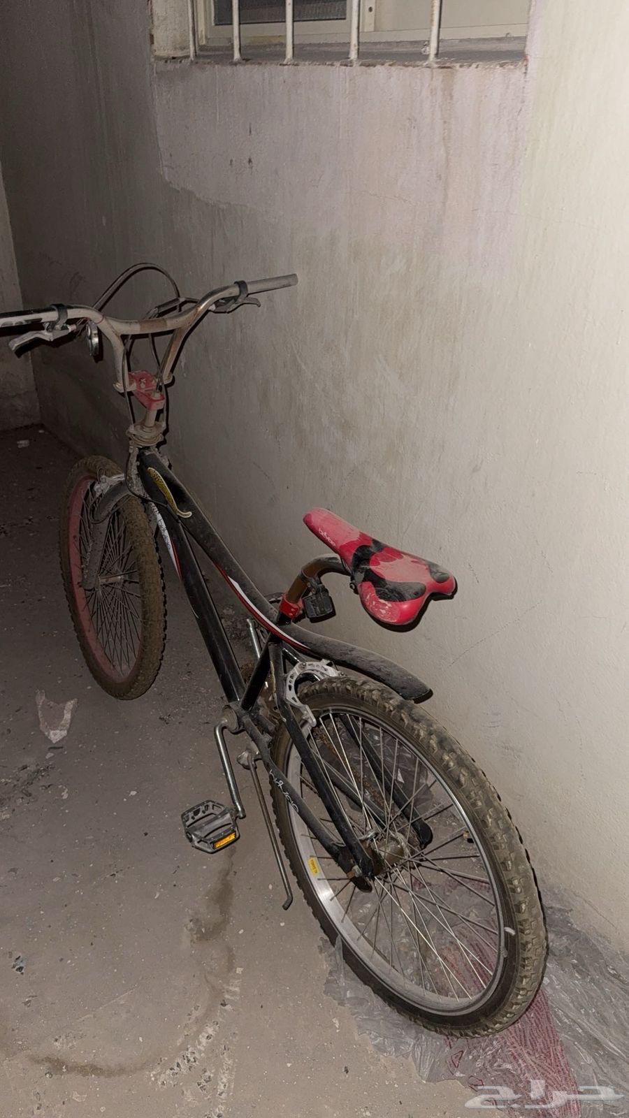 Cycl64595022491521114