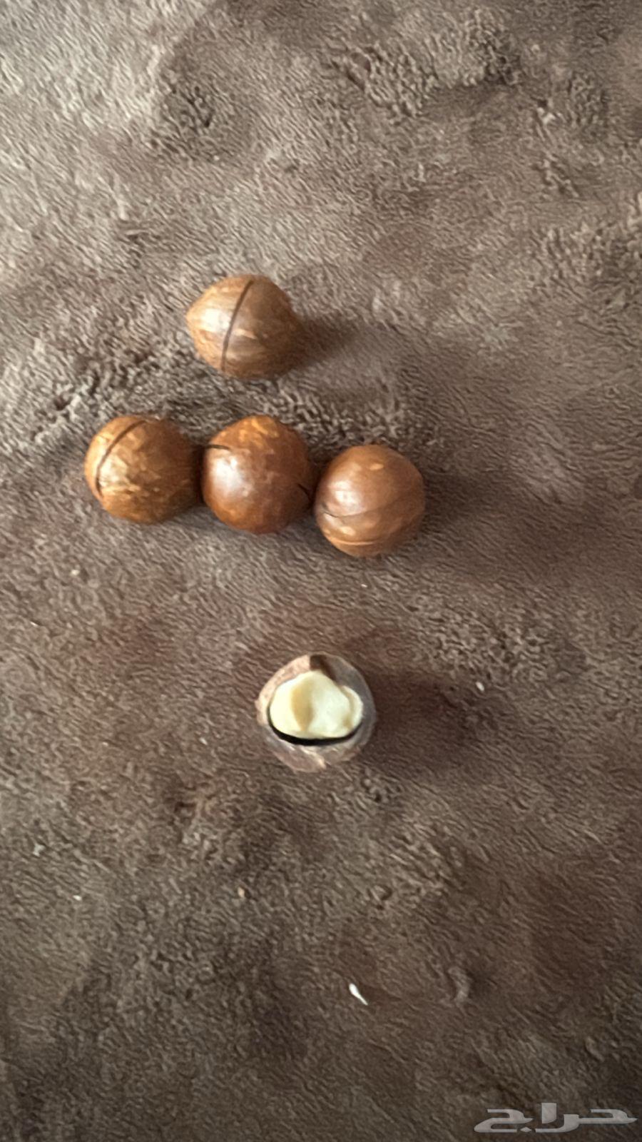 مكينة اسبريسو إيطالية الصنع64592529096961111