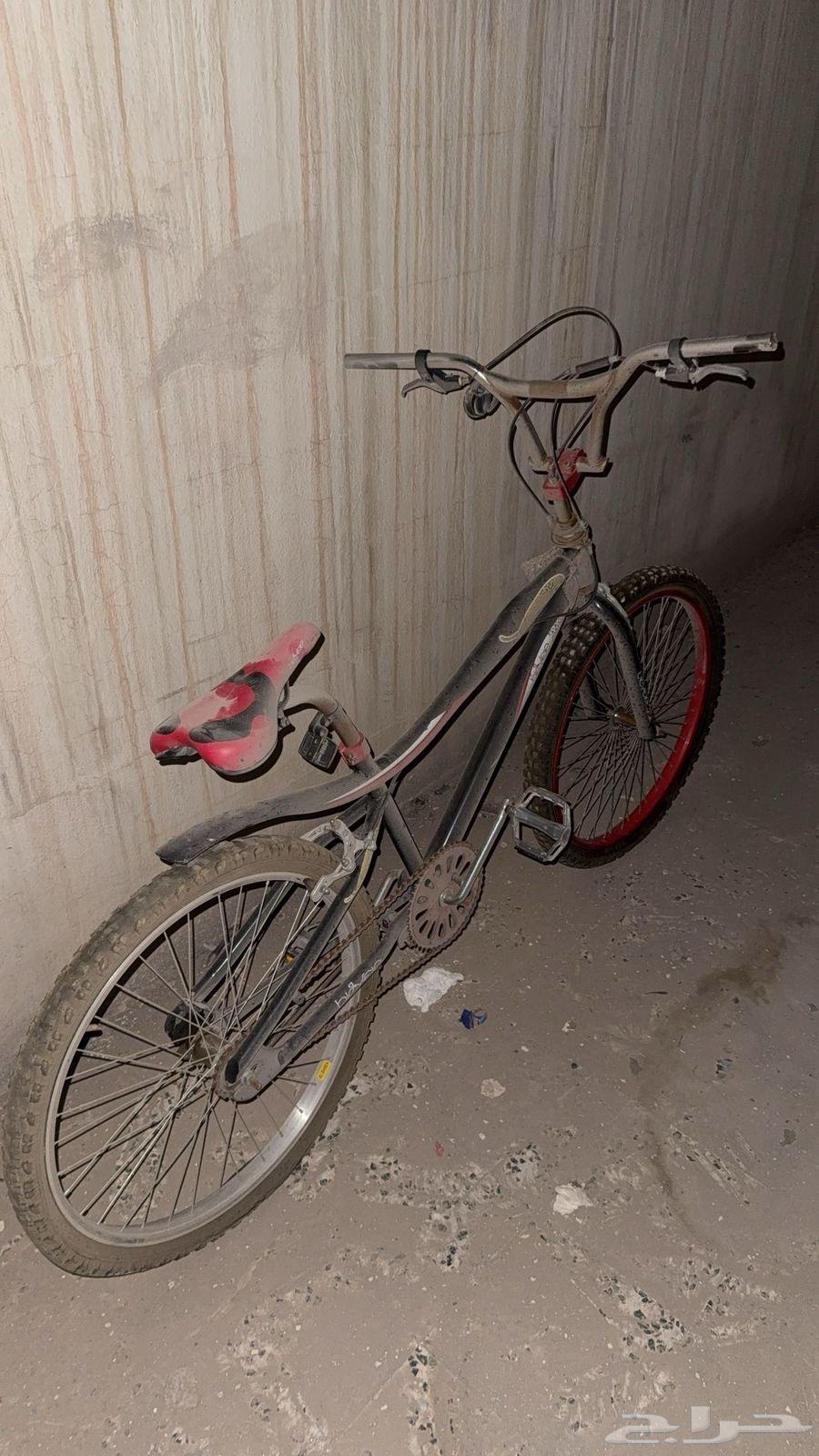 Cycl64595022491521113