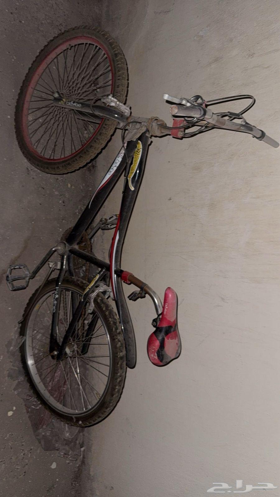 Cycl64595022491521112