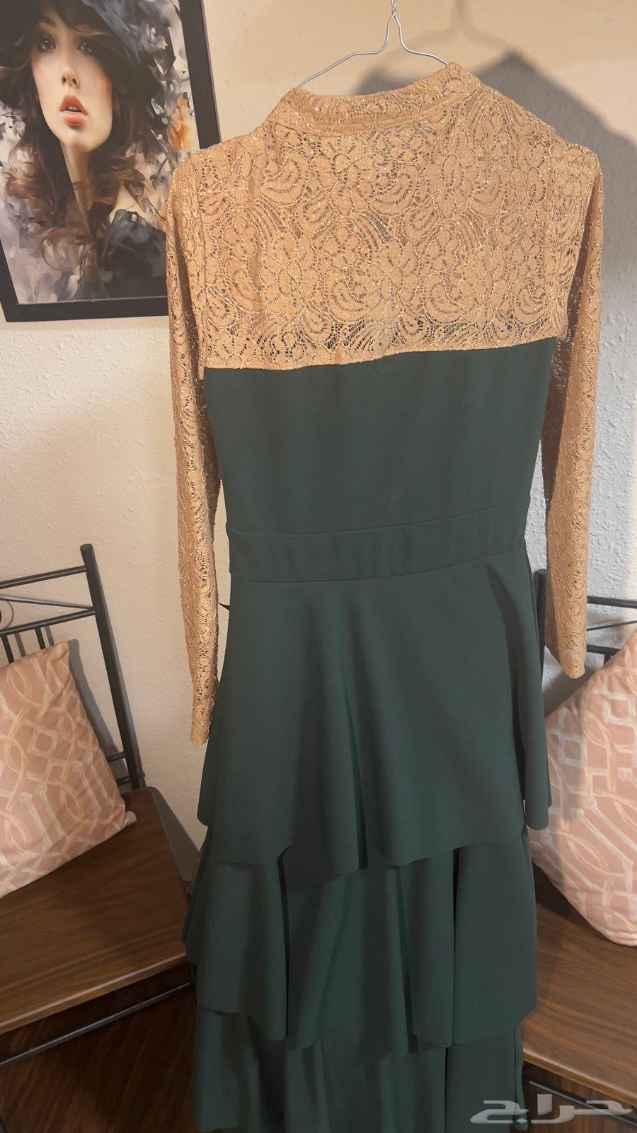 فستان فخم ابي فيه 200 ريال مقاس L64594862420483110