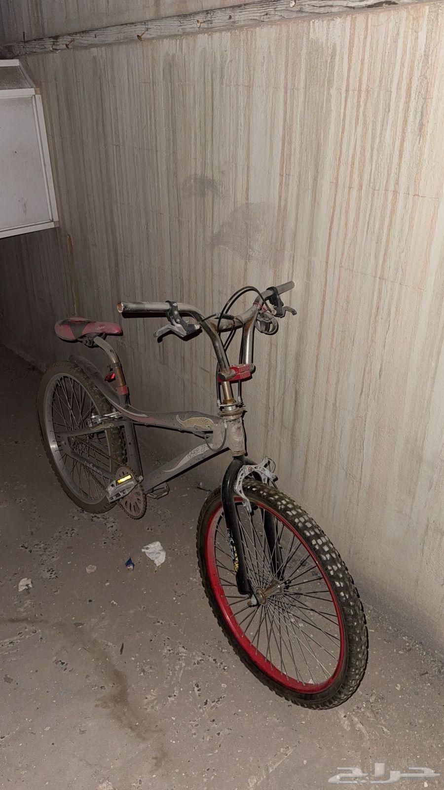 Cycl64595022491521110