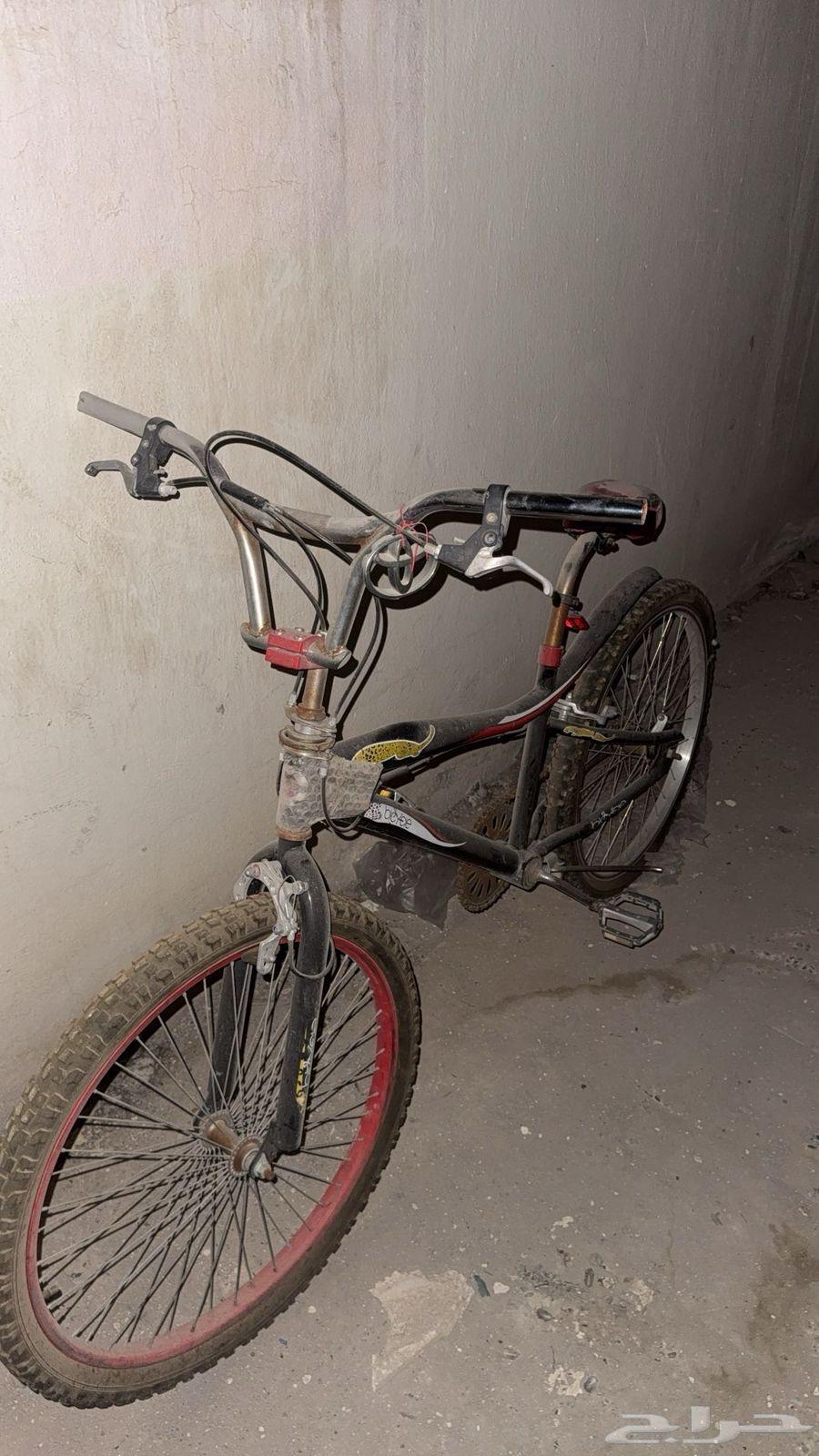 Cycl64595022491521111