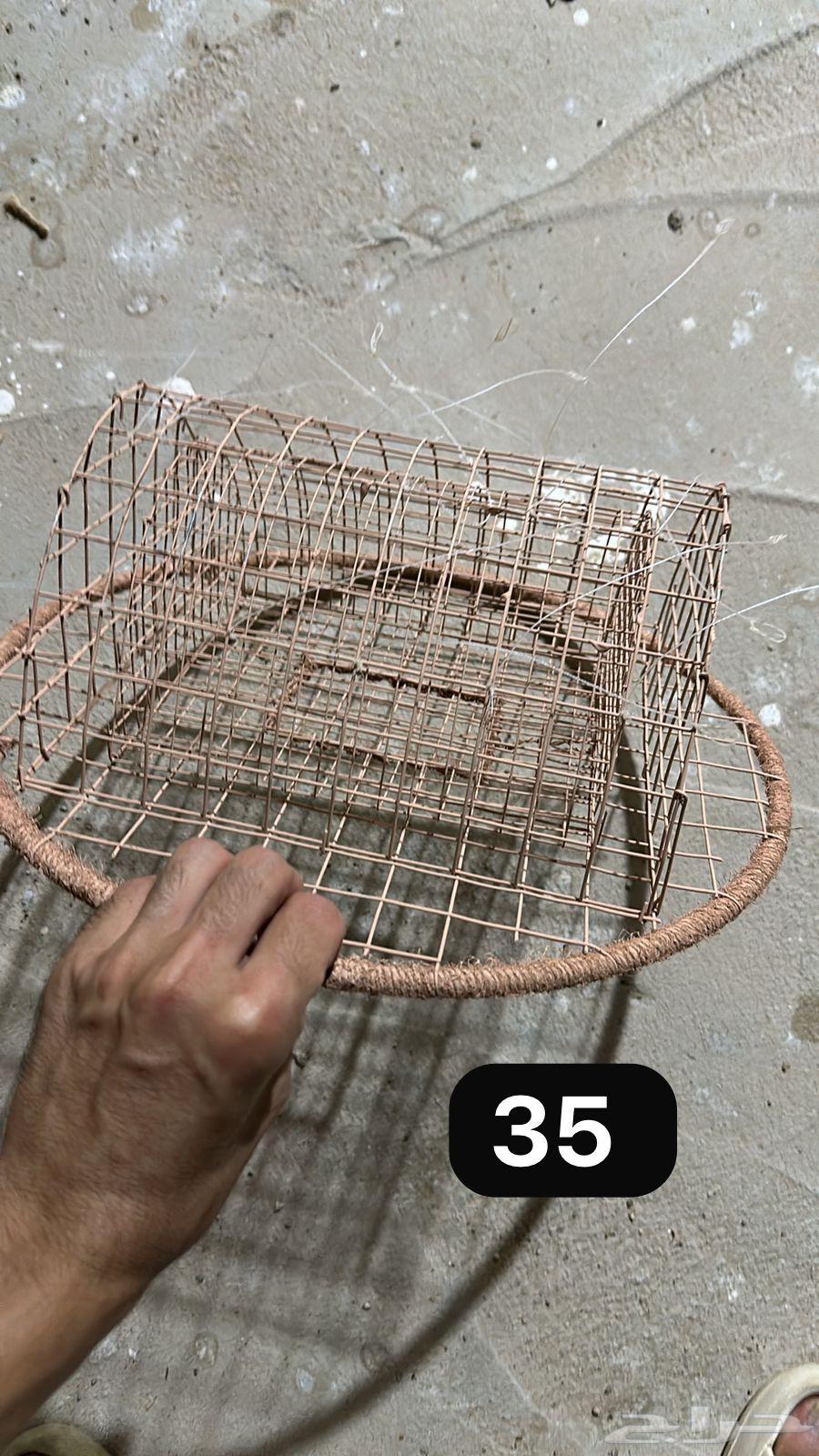 Double Circle Qirasha64592987060355112