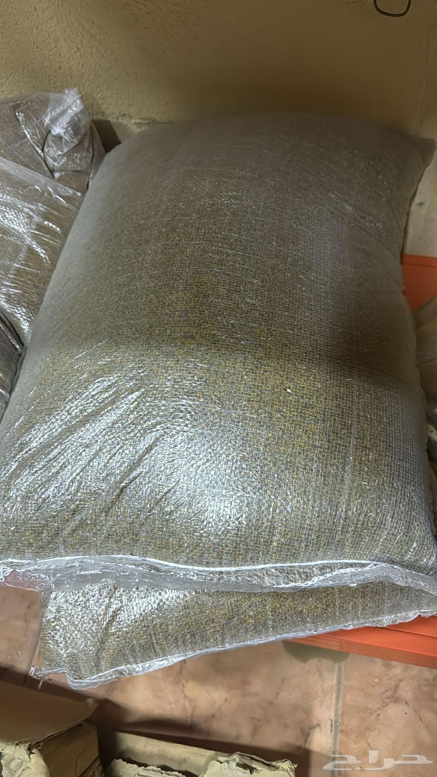 بذار برسيم حجازي64588582245121111