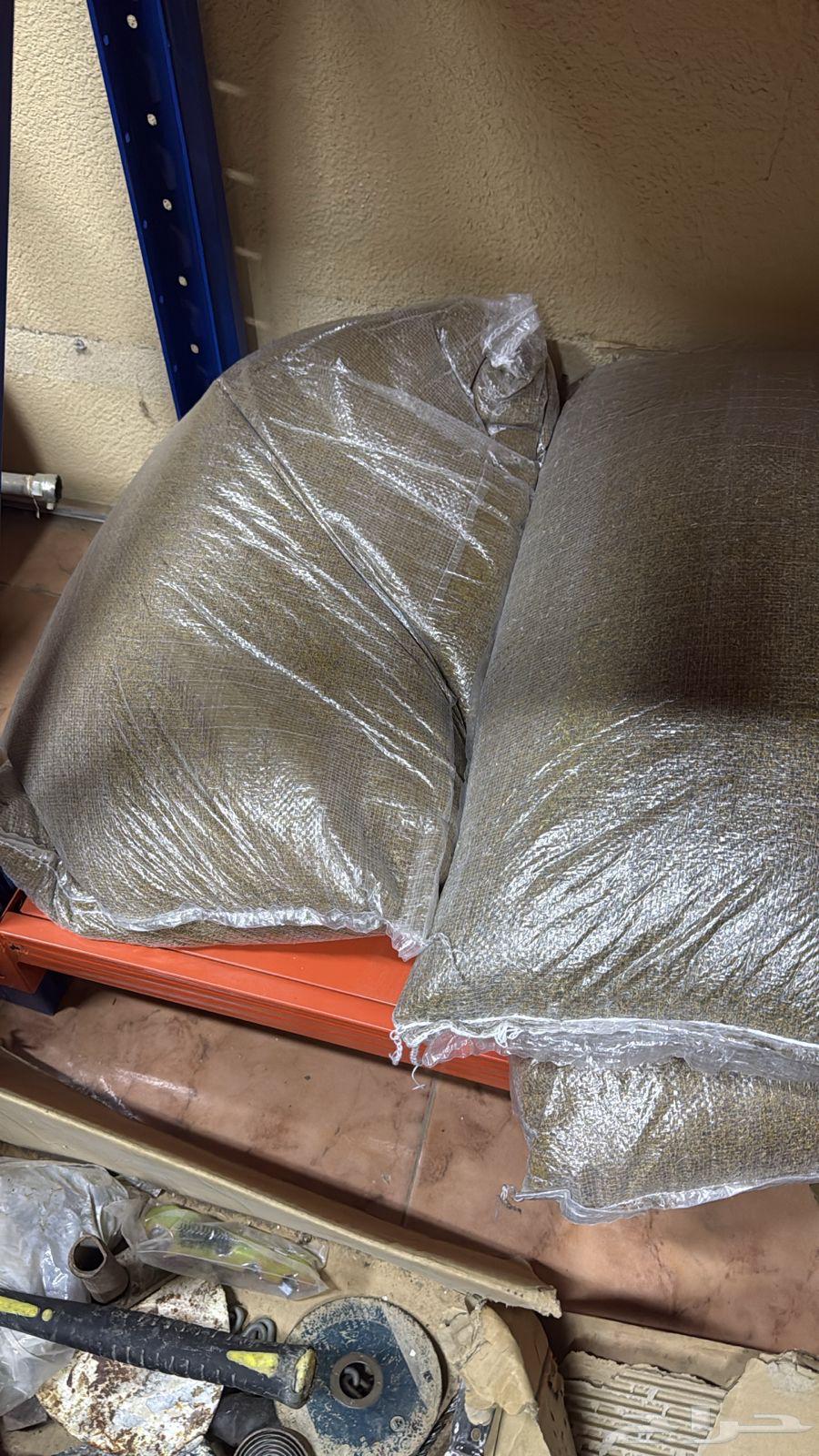 بذار برسيم حجازي64588582245121110