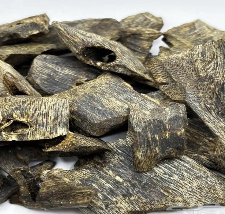 عود طبيعي كينام الدرجه تربل64594985073667110