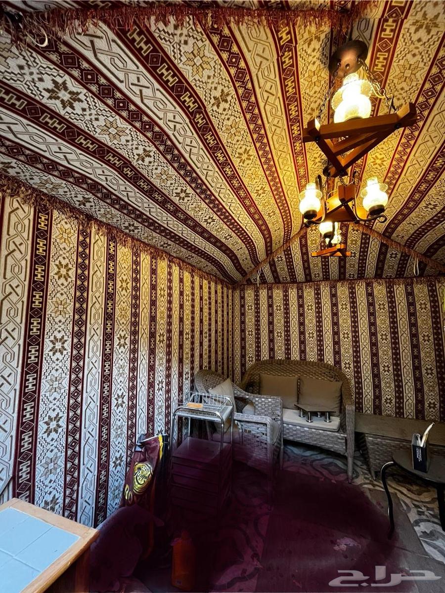 بيت شعر شعبي64593753659011110