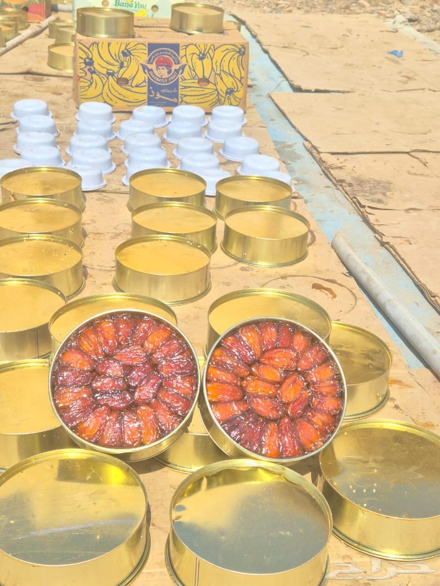 علب تمر كيلو ونص صفري بيشه حبه كبير64594552841857111