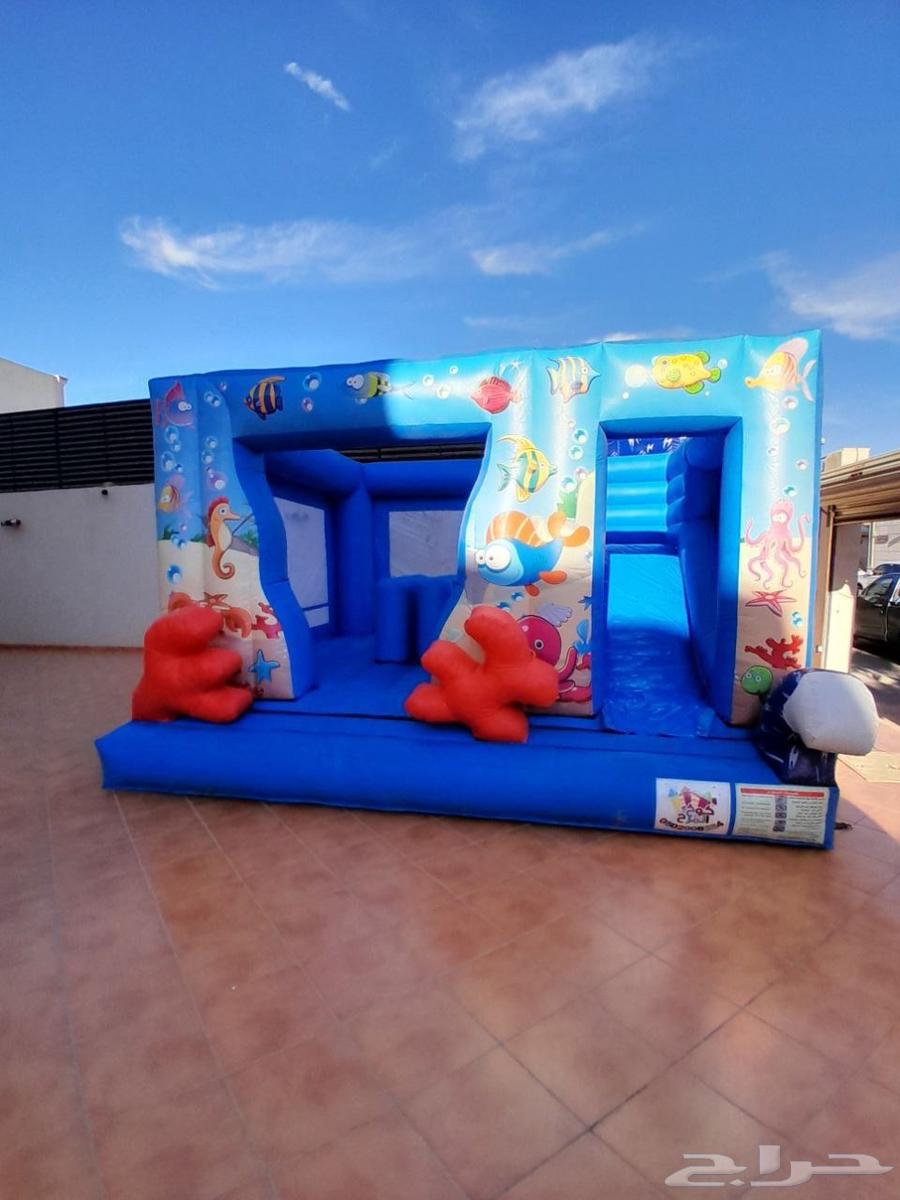 تأجير توم وجيري64574621337346112