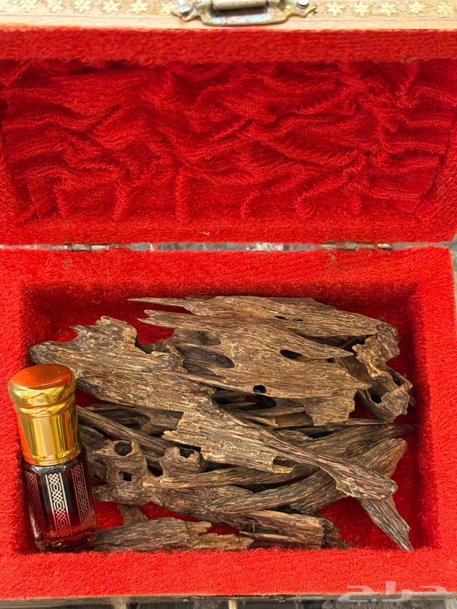 عود و دهن64590372274435110