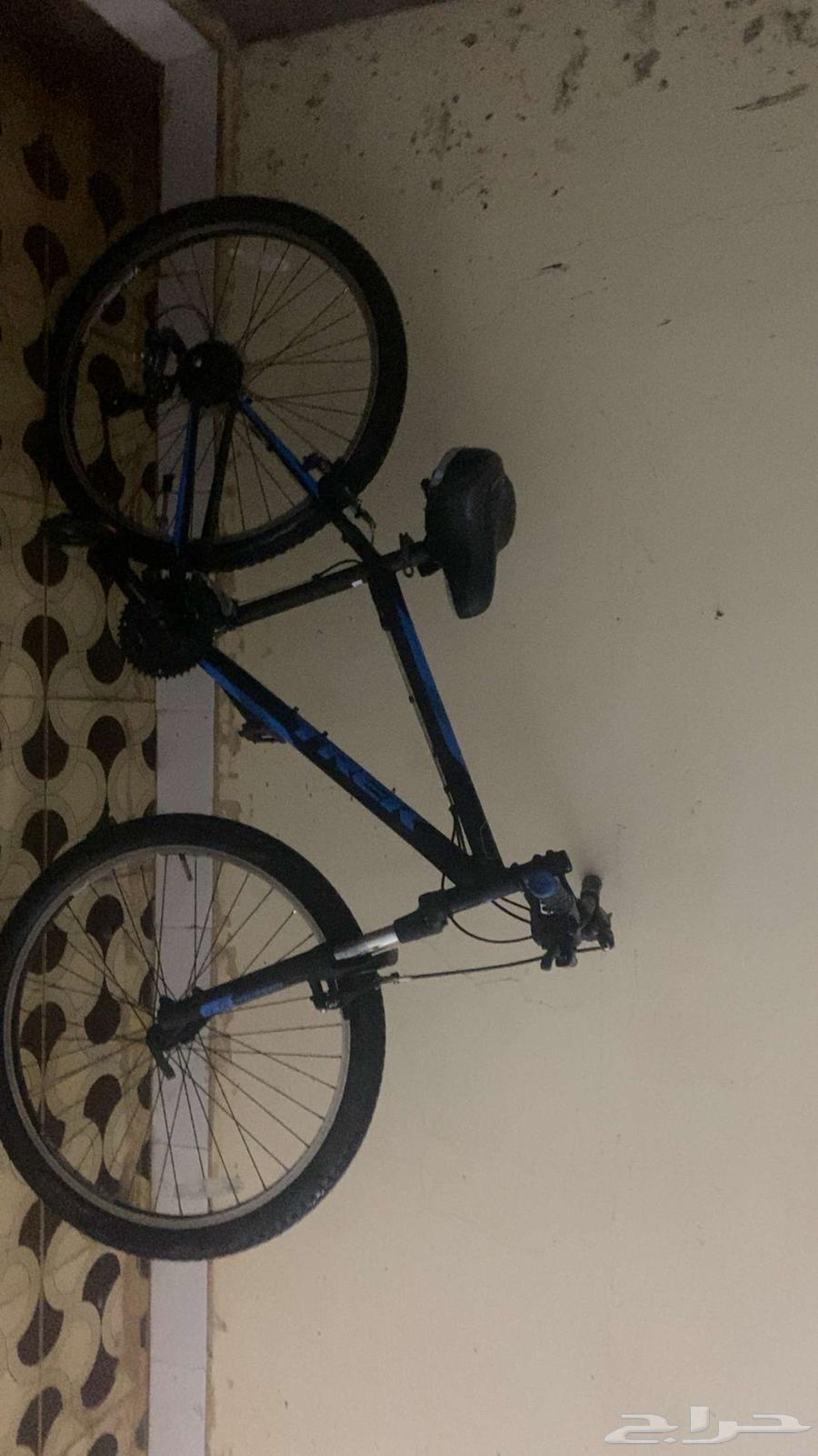 A religious cycle that contains nothing but backward disbelief64614272900098111