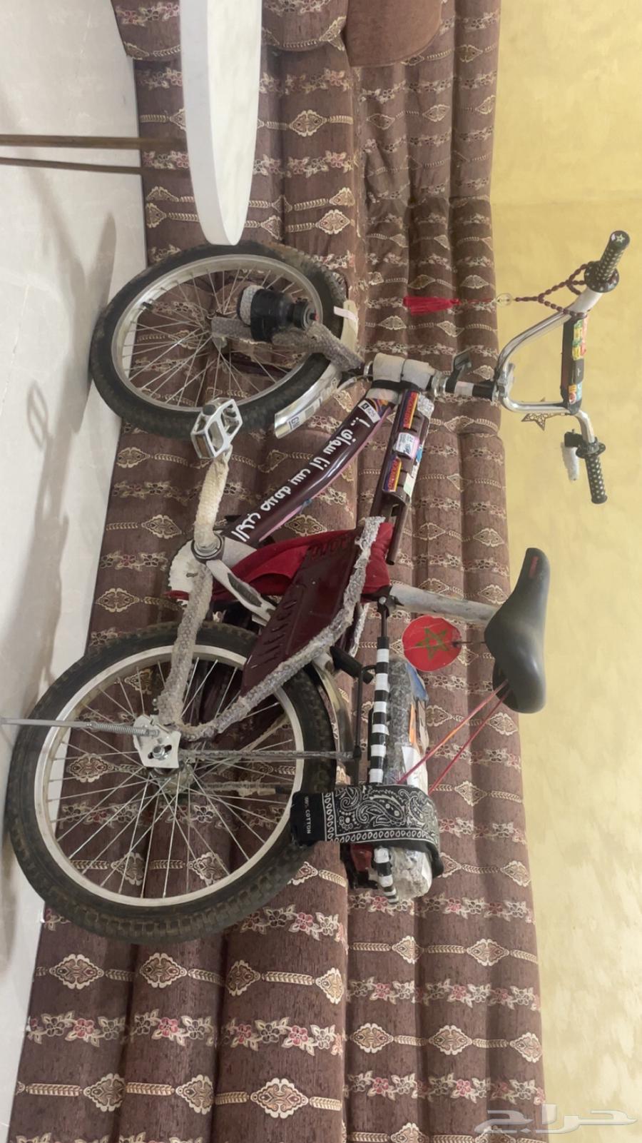 رامبو عنابي قطب مقاس 2064597199974275110