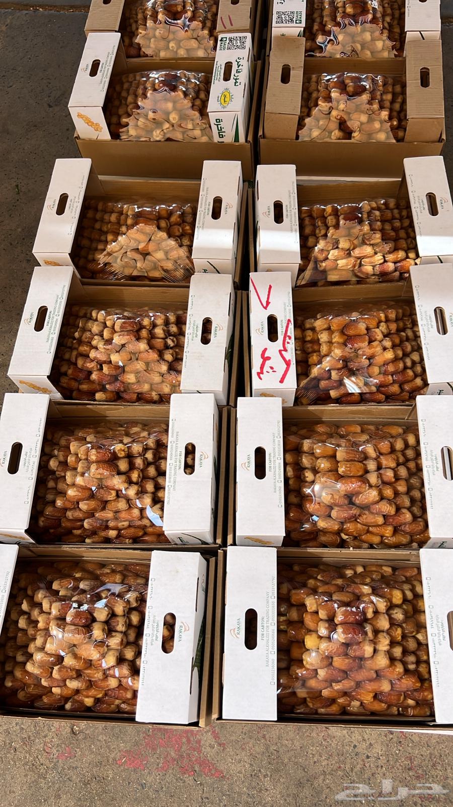 صقعي و مجدول درجه اولى64562165388163110