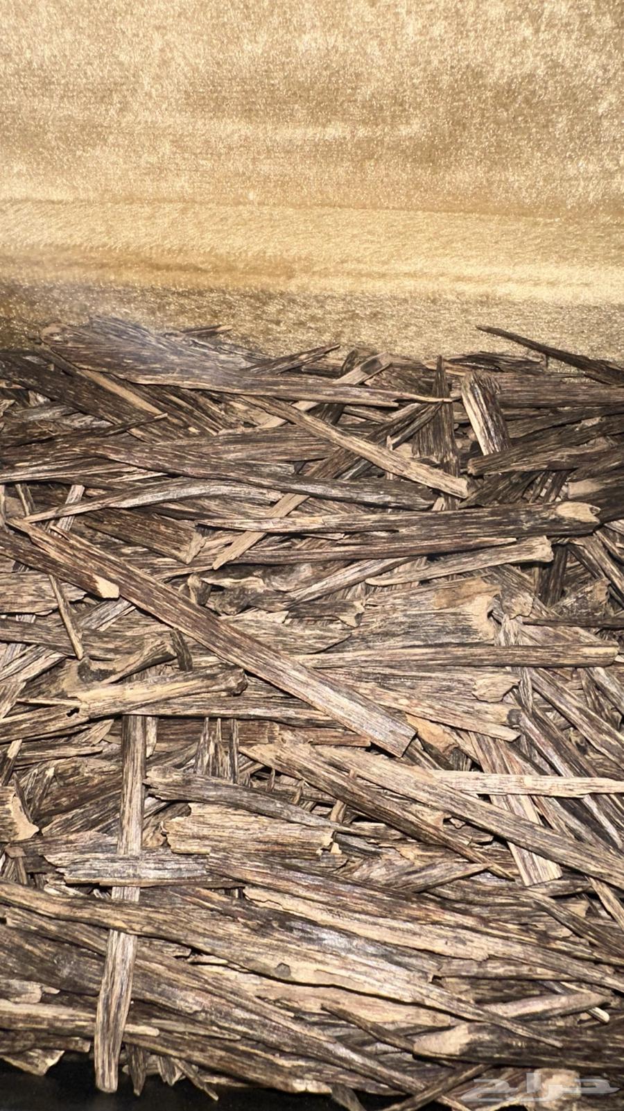 عود هندي سلا دبل سوبر64597532226945110