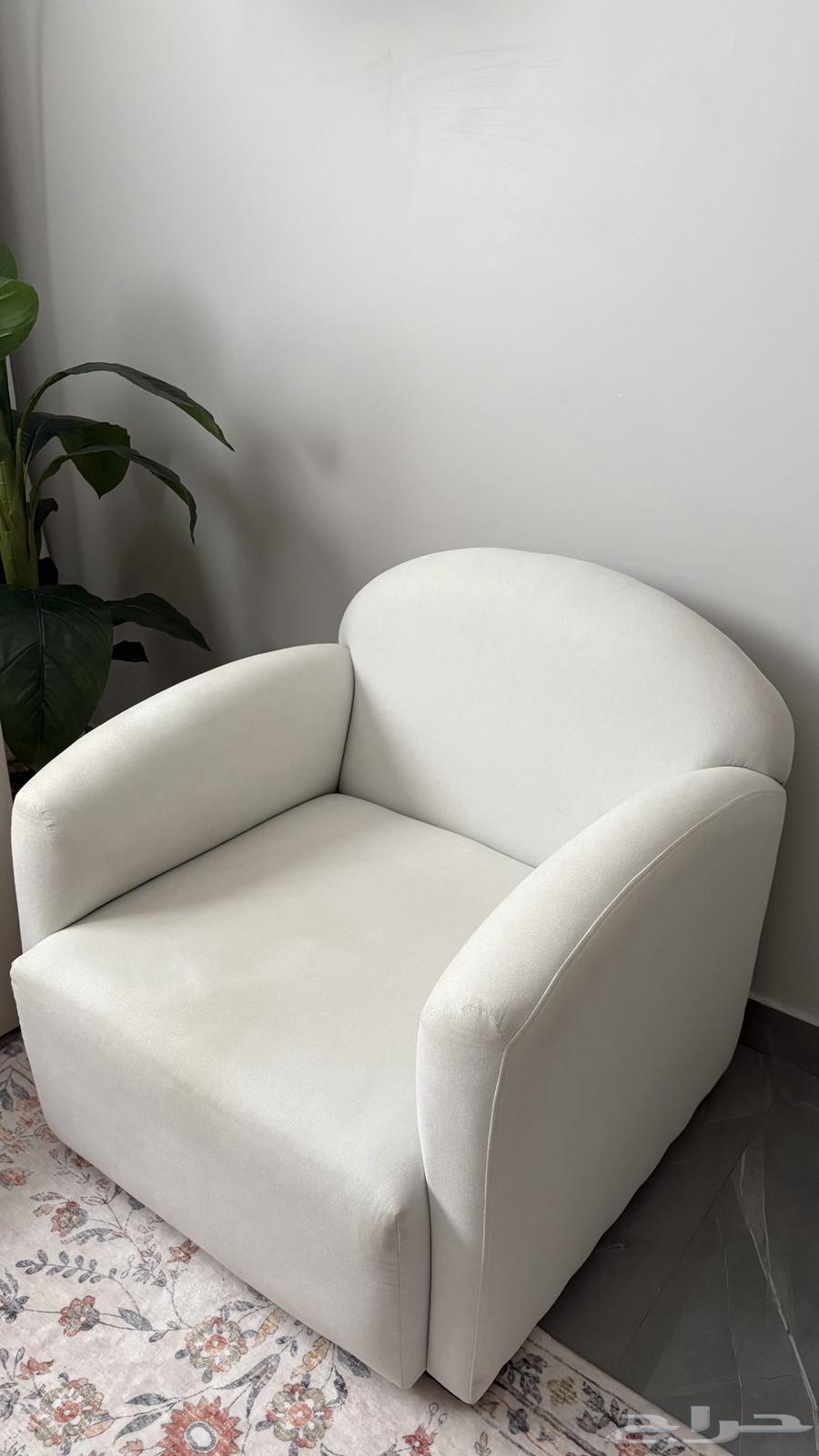 Single Boucle Sofa64597212125058110