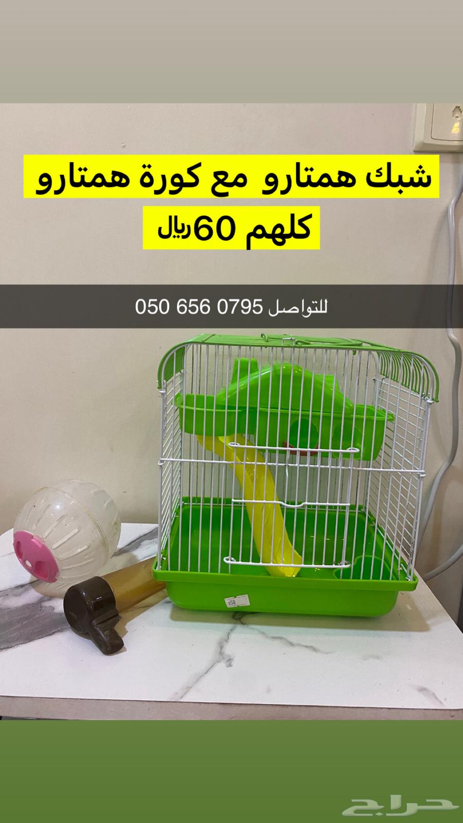 The Lobe is his address64597139202689110