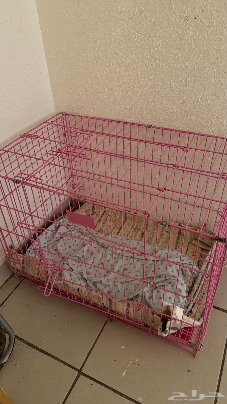 قفص للبيع64598240131330110