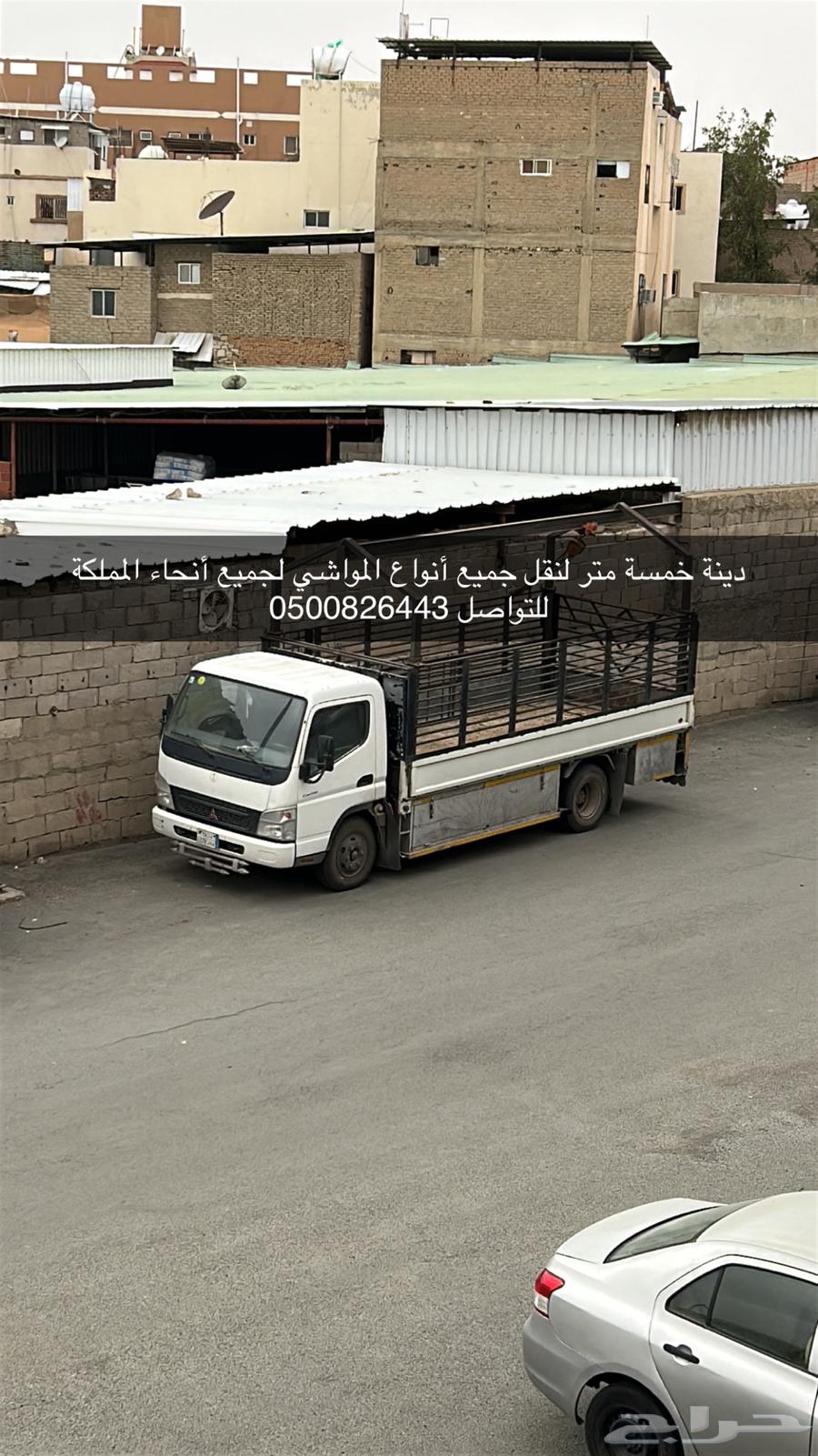 دنه دنة دنا دينا دينه دينة خمسة متر لنقل المواشي64158161265411110