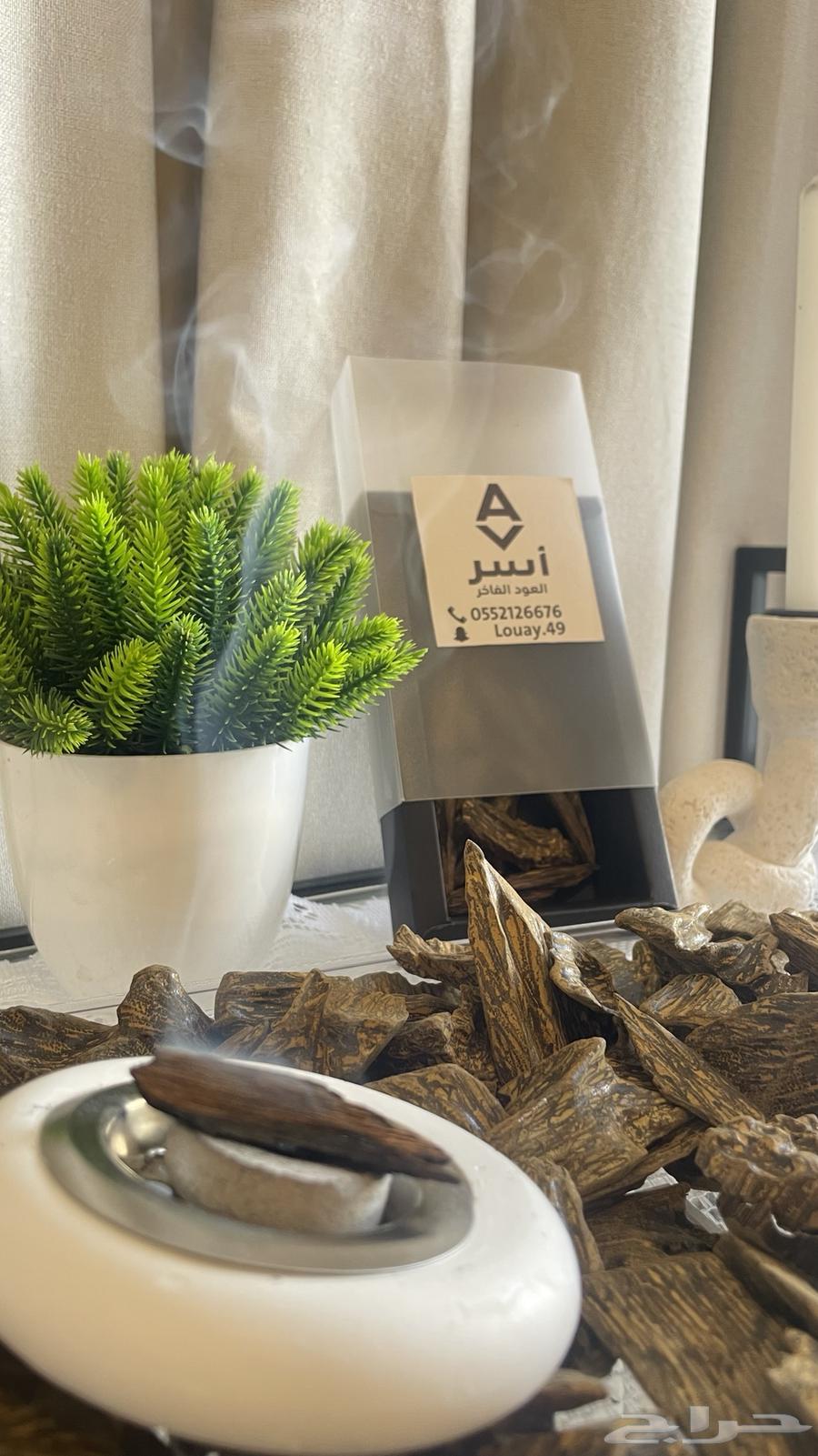 عودة موروكي محسن   كلمنتان درجة اولى64598486825729111