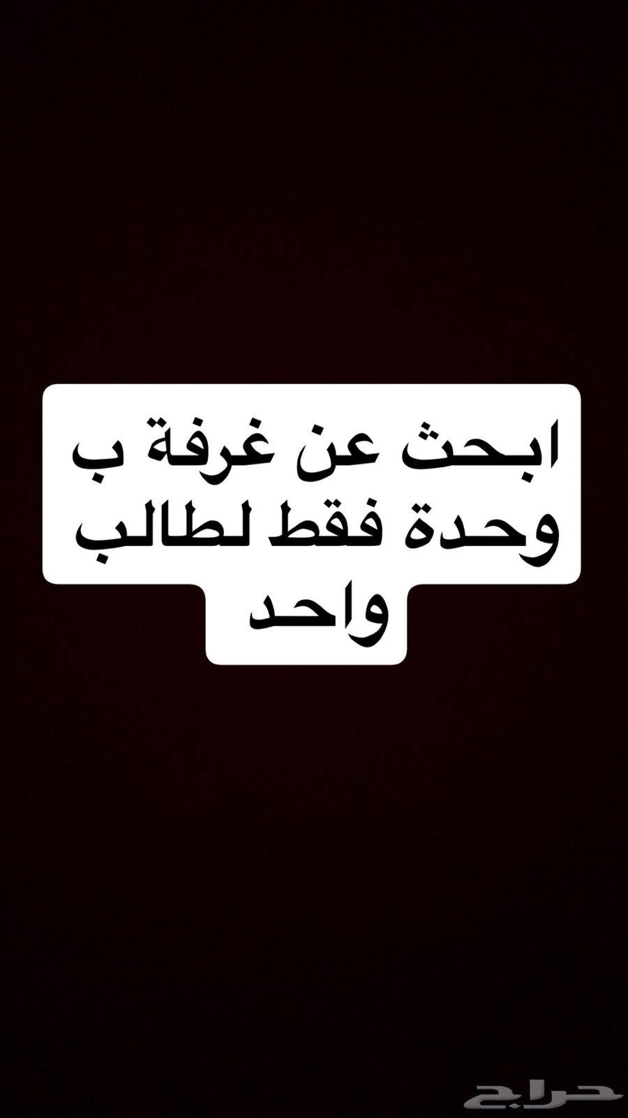 كامري شقة ايجار64146689567745110