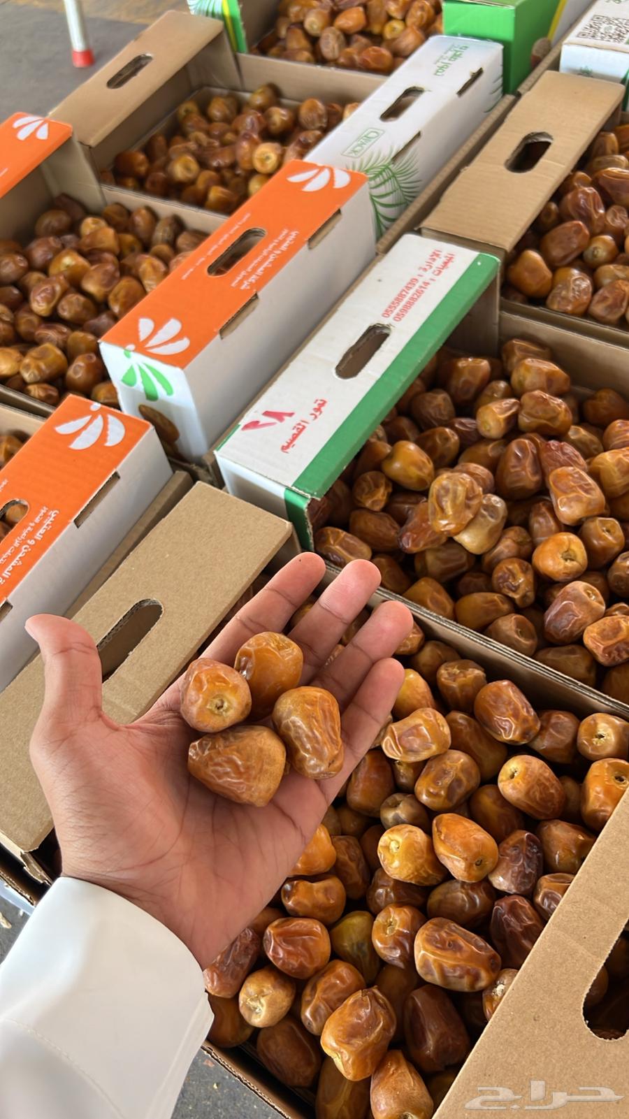 صقعي و مجدول درجه اولى64562165388163112