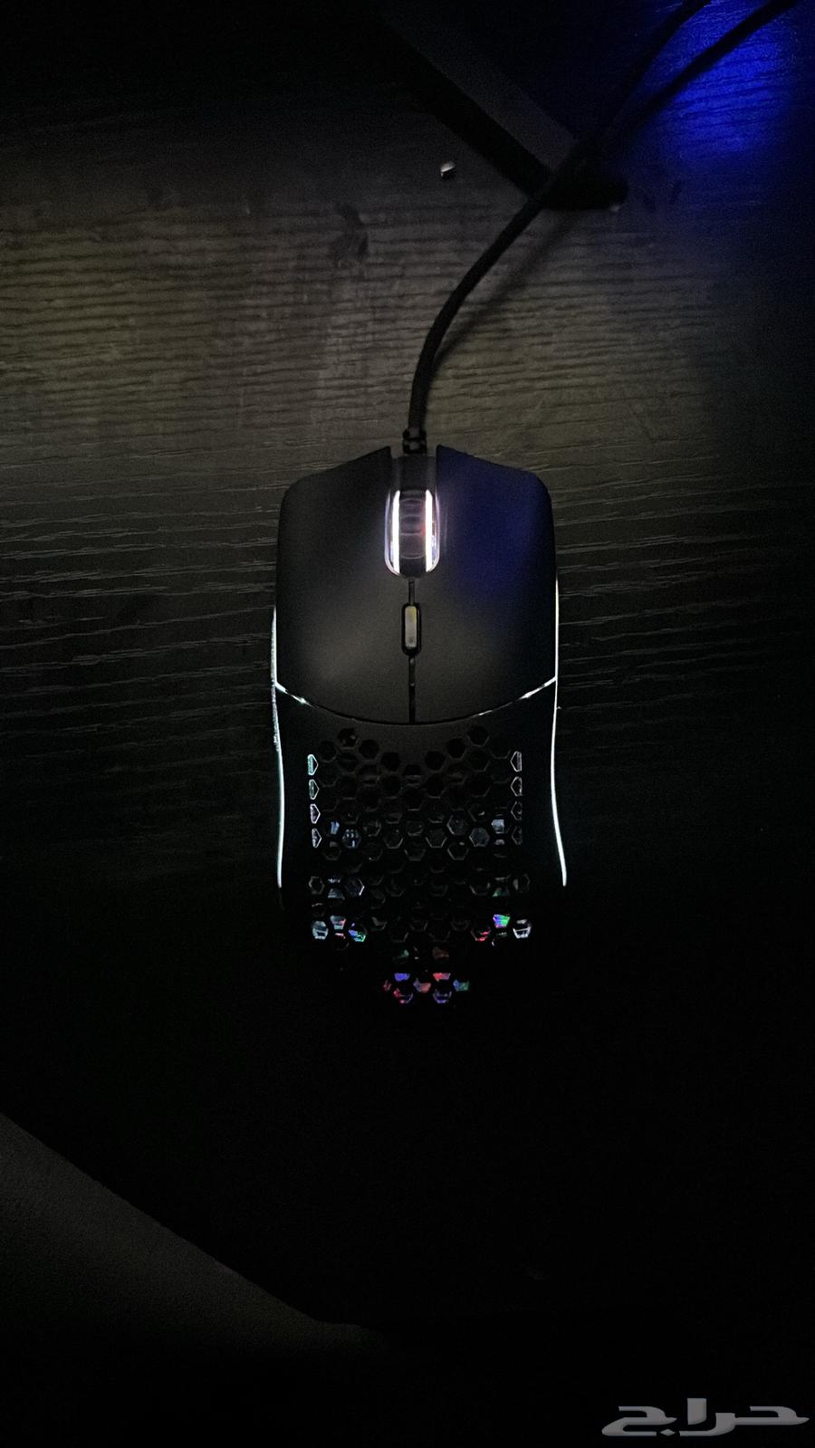 Glorious mouse64597580778498111